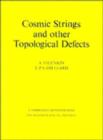 Cosmic Strings and Other Topological Defects - Book