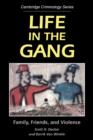 Life in the Gang : Family, Friends, and Violence - Book