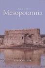 Ancient Mesopotamia - Book