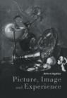 Picture, Image and Experience : A Philosophical Inquiry - Book