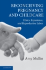 Reconceiving Pregnancy and Childcare : Ethics, Experience, and Reproductive Labor - Book