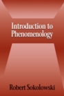 Introduction to Phenomenology - Book