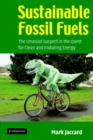 Sustainable Fossil Fuels : The Unusual Suspect in the Quest for Clean and Enduring Energy - Book