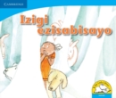 Izigi ezisabisayo (IsiZulu) - Book