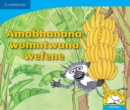Amabhanana womntwana wefene (IsiNdebele) - Book