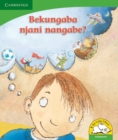 Bekungaba njani nangabe? (IsiNdebele) - Book