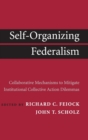 Self-Organizing Federalism : Collaborative Mechanisms to Mitigate Institutional Collective Action Dilemmas - Book