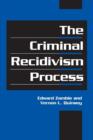 The Criminal Recidivism Process - Book