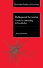Delinquent Networks : Youth Co-Offending in Stockholm - Book