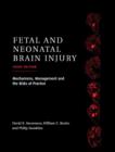 Fetal and Neonatal Brain Injury : Mechanisms, Management and the Risks of Practice - Book