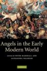 Angels in the Early Modern World - Book