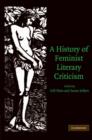 A History of Feminist Literary Criticism - Book