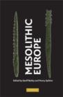 Mesolithic Europe - Book
