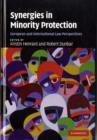 Synergies in Minority Protection : European and International Law Perspectives - Book