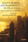 Sustainable Development in Practice : Sustainomics Methodology and Applications - Book