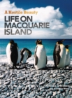 A Hostile Beauty : Life on Macquarie Island - Book