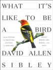 What It's Like to Be a Bird - eBook