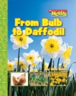 From Bulb to Daffodil (Scholastic News Nonfiction Readers: How Things Grow) - Book