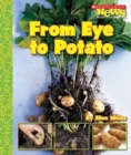From Eye to Potato (Scholastic News Nonfiction Readers: How Things Grow) - Book