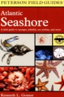 Atlantic Seashore : A Field Guide to Sponges, Jellyfish, Sea Urchins, and More - eBook