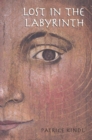 Lost in the Labyrinth - eBook