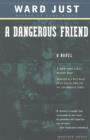 A Dangerous Friend : A Novel - eBook
