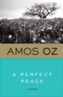 A Perfect Peace : A Novel - eBook