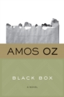 A Flame of Pure Fire : Jack Dempsey and the Roaring '20s - Amos Oz
