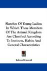 Sketches Of Young Ladies: In Which These Members Of The Animal Kingdom Are Classified According To Instincts, Habits And General Characteristics - Book