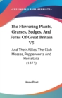 The Flowering Plants, Grasses, Sedges, And Ferns Of Great Britain V5 : And Their Allies, The Club Mosses, Pepperworts And Horsetails (1873) - Book