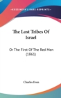 The Lost Tribes Of Israel : Or The First Of The Red Men (1861) - Book