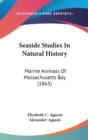 Seaside Studies In Natural History : Marine Animals Of Massachusetts Bay (1865) - Book