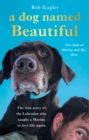 A Dog Named Beautiful : The true story of the Labrador who taught a Marine to love life again - Book