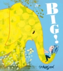 Big! - Book