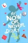 My Now or Never Diary - Book