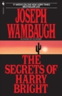 The Secrets of Harry Bright : A Novel - Book