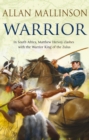 Warrior : (The Matthew Hervey Adventures: 10): A gripping and action-packed military page-turner from bestselling author Allan Mallinson - Book
