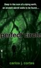 Perfect Circle - eBook