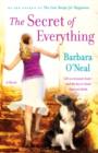 Secret of Everything - eBook