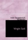 Virgin Soil - Book
