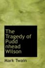 The Tragedy of Pudd Nhead Wilson - Book