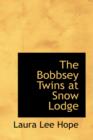 The Bobbsey Twins at Snow Lodge - Book