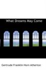 What Dreams May Come - Book