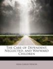 The Care of Dependent, Neglected, and Wayward Children - Book