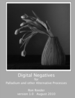 Digital Negatives for Palladium and Other Alternative Processes - Book