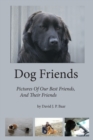 Dog Friends - Book