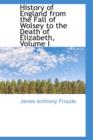 History of England from the Fall of Wolsey to the Death of Elizabeth, Volume I - Book