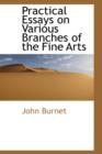 Practical Essays on Various Branches of the Fine Arts - Book