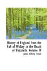 History of England from the Fall of Wolsey to the Death of Elizabeth. Volume IV - Book