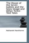 The House of the Seven Gables and the Snow Image and Other Twice-Told Tales - Book